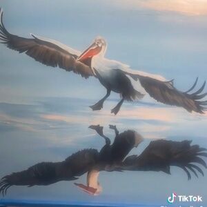 Original oil paintings by Artist Terrence